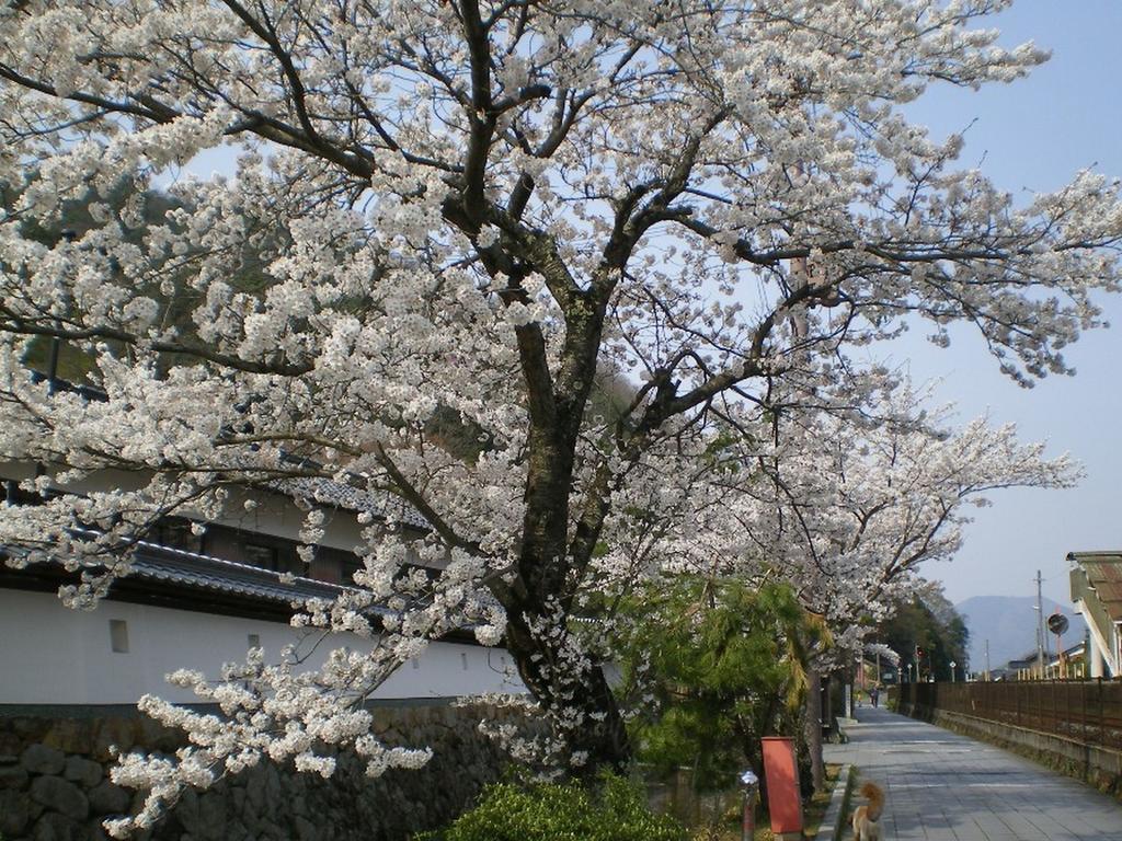 Terakoya Hanatei 朝来市 エクステリア 写真